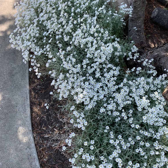 Meet your Posher, Kayla - Picture 1 of 1